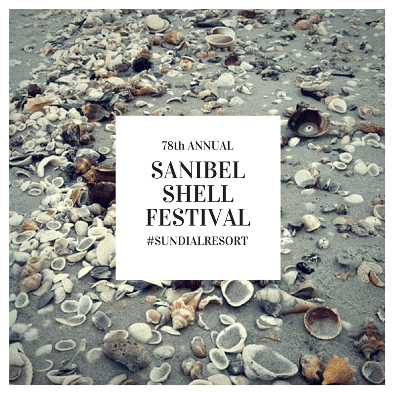 78th Annual Sanibel Shell Festival Sanibel Island Sundial Beach