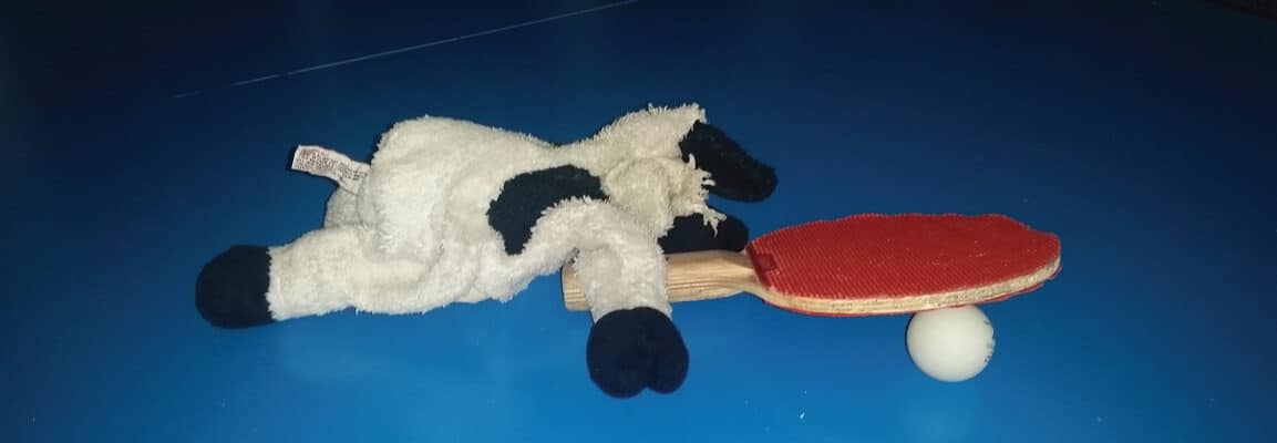 stuffed cow enjoyed beach vacation and ping pong
