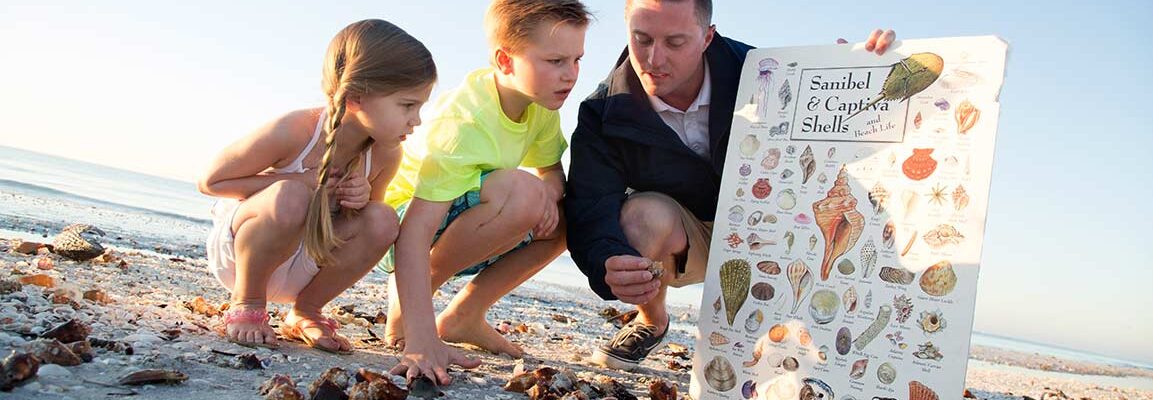 family at the beach collecting shells identifying shells