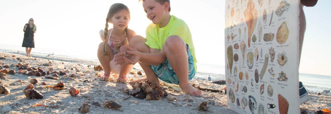two kids identifying shells on sanibel island at sundial