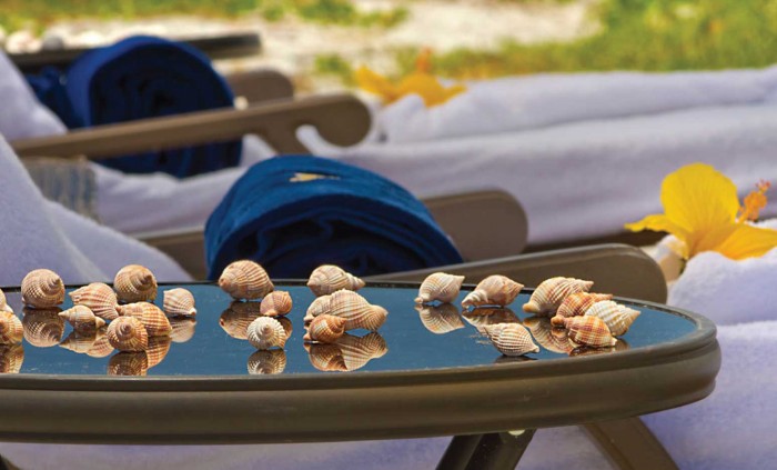 Find all of the best shells at Sundial Resort.
