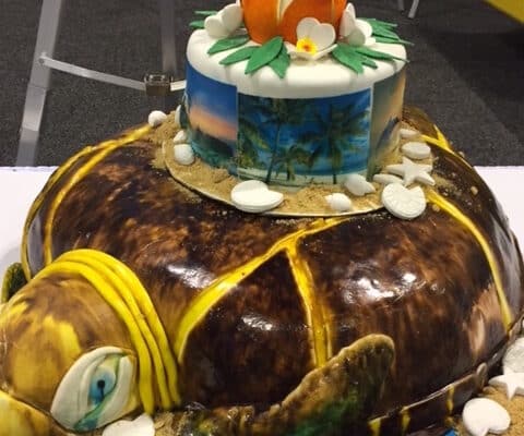 turtle shaped cake sanibel baileys