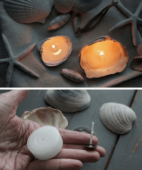 sea shell candles