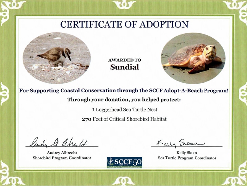 sccf adopt a beach certificate sanibel island 2018 sundial