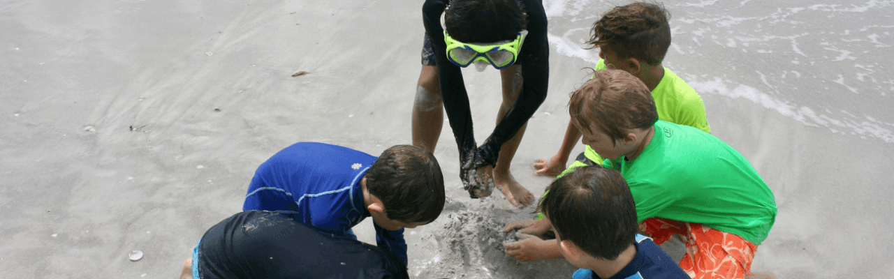 sanibel sea school sundial camp kids digging
