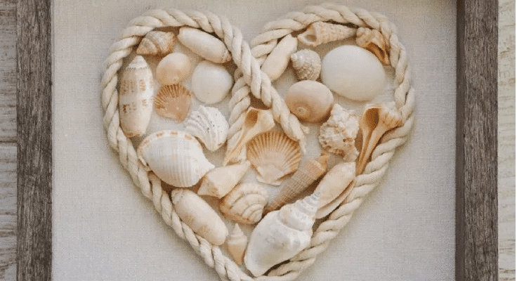 7 Creative Ways to Display Seashells - Living Porpoisefully