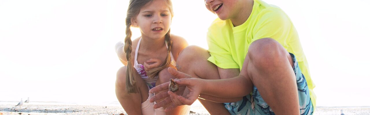 kids find conch shells on sanibel beach