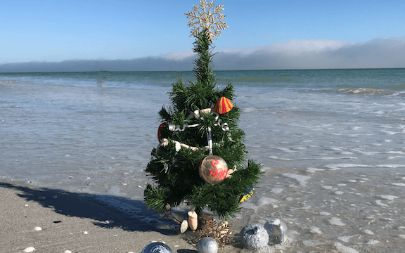 christmas tree on beach small sanibel island holiday