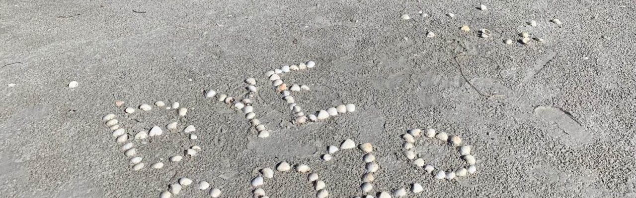 bye 2020 shells on beach sanibel shelling