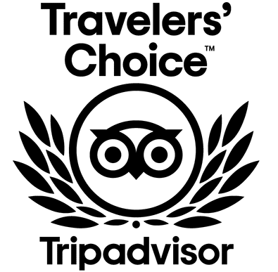 tripadvisor travelers choice 2021 logo black