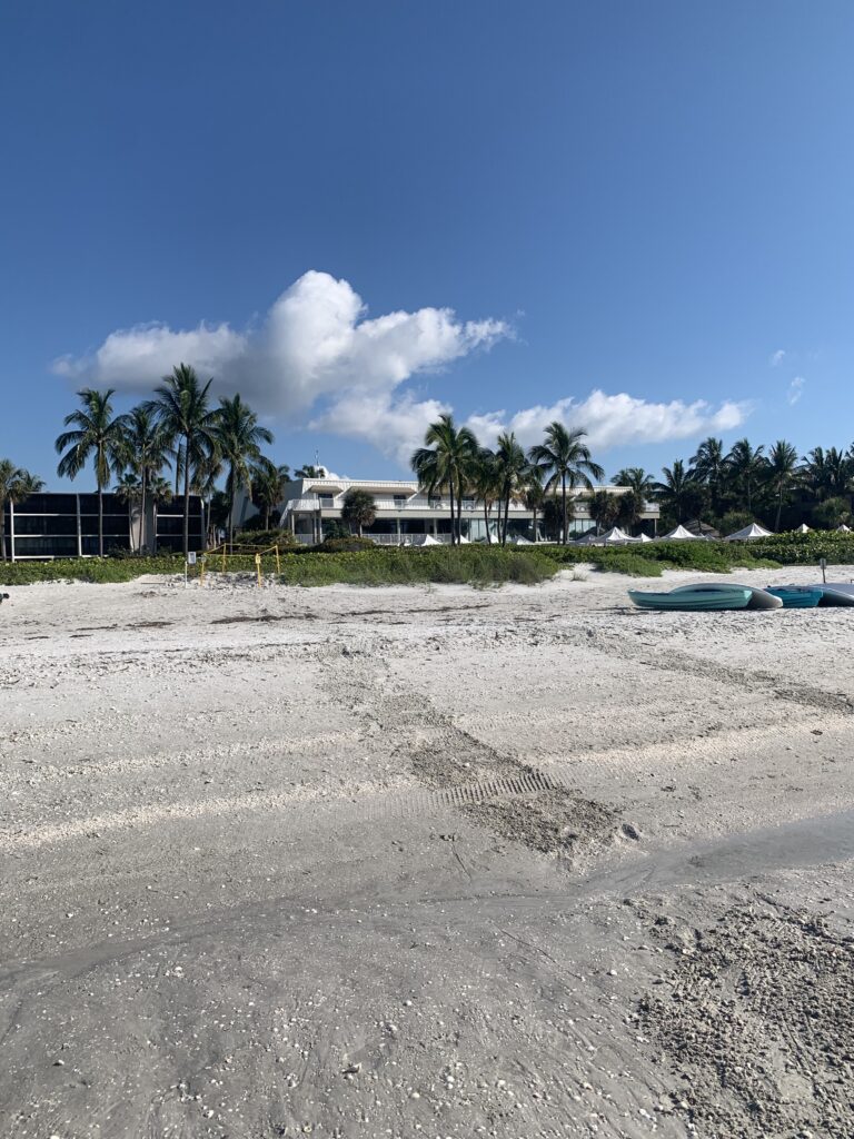 sea turtle crawl sundial resort sanibelisland beach 2022 nest