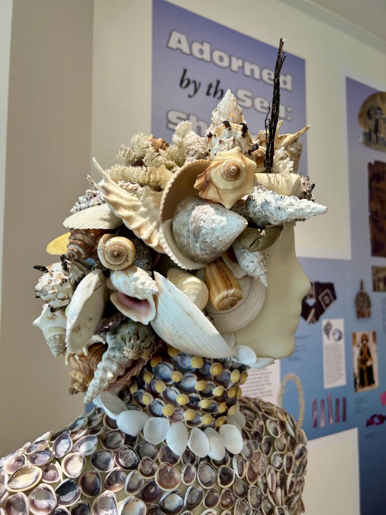shells in fasion shell headpiece bailey matthews shell museum sanibel island
