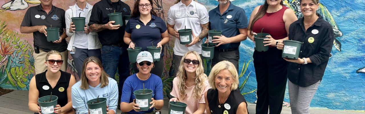 sundial staff members posing with mangrove seedlings for the SCCF mangrove restoration project