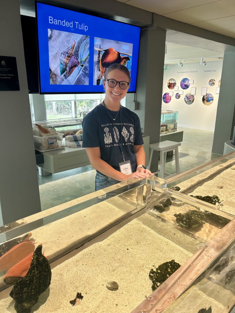 living exhibits at bailey matthews shell museum