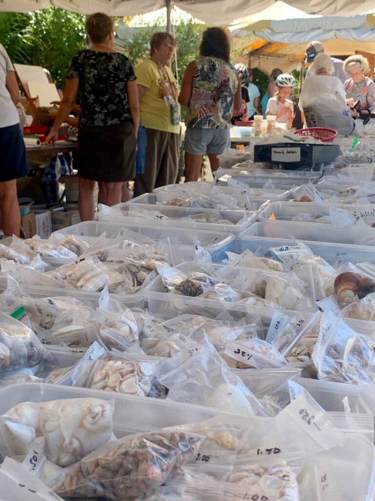 view of shells for sale at sanibel shell show in bags/bulk