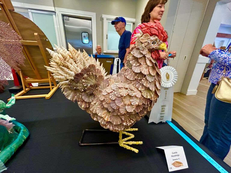 2026 sanibel shell show display of rooster statue made from shells