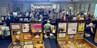 2026 sanibel shell show exhibit room bustling with people viewing the artisitc and scientific categories on display