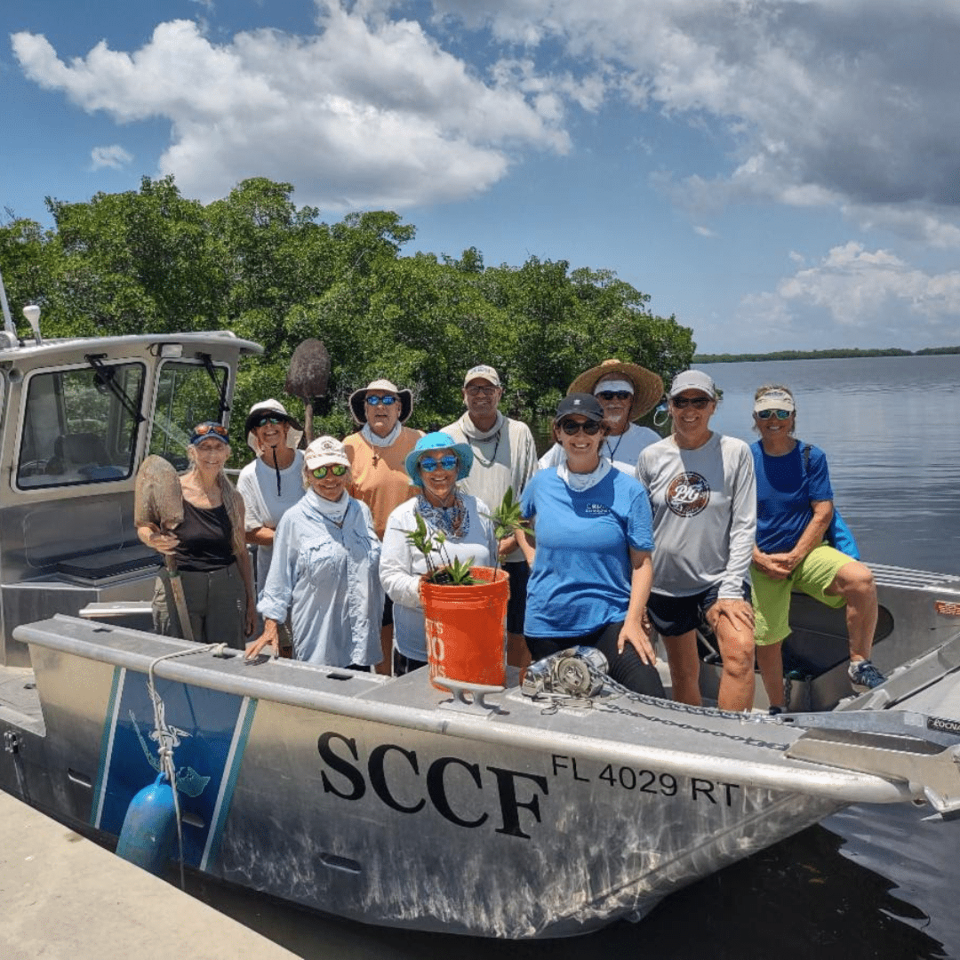 sccf voluntourism opportunities on vacation sanibel island