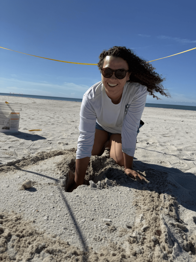 Ashlyn, SCCF’s daytime Sea Turtle Nesting Intern for the 2026 season in the sand