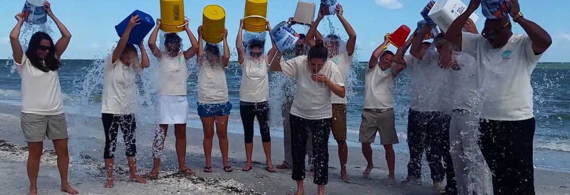 sundial staff ice bucket challenge 2014